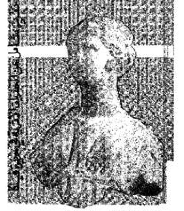 1271-Thumbnail Image.jpg