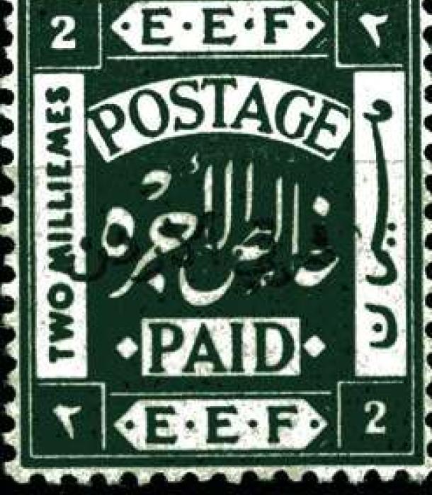 1355-Thumbnail Image-1.jpg