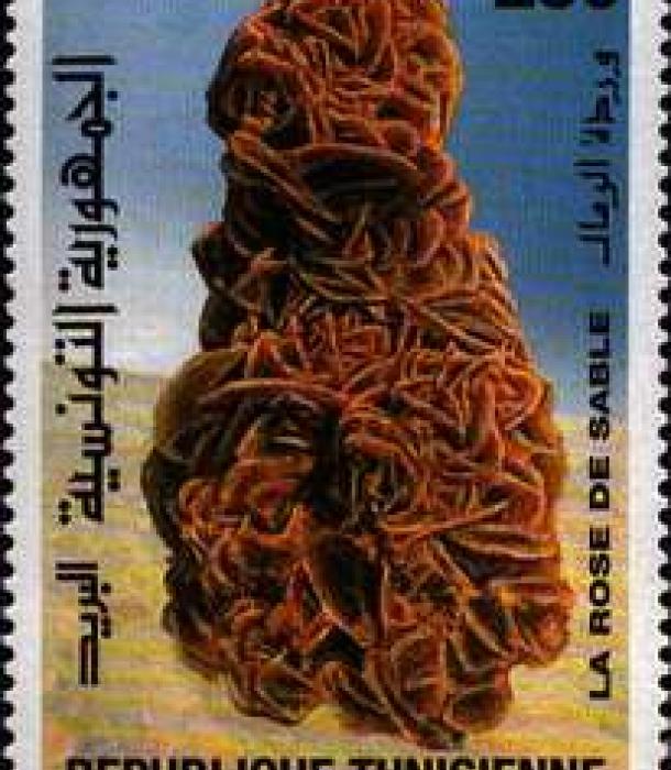 1388-Thumbnail Image-1.jpg