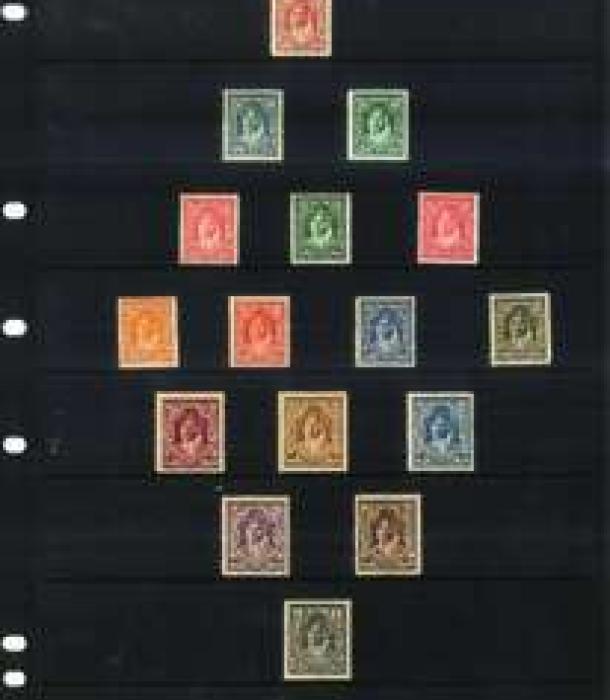 1353-Thumbnail Image-1.jpg