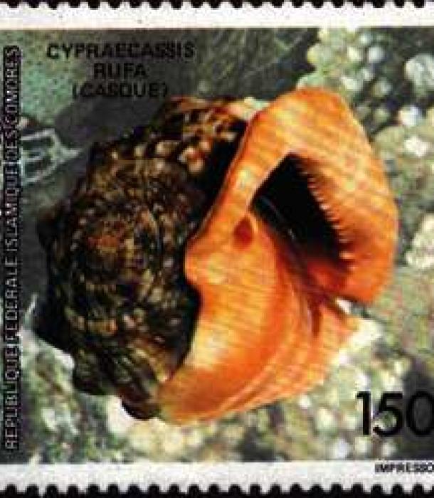 1480-Thumbnail Image-1.jpg