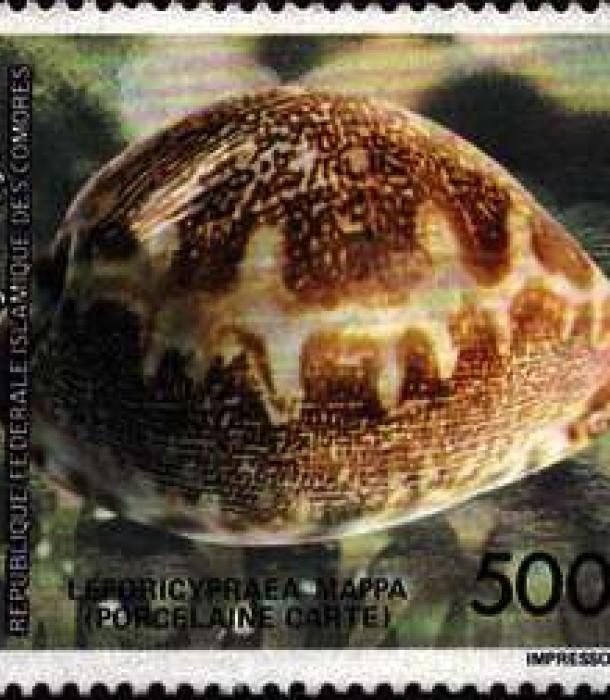 1481-Thumbnail Image-1.jpg