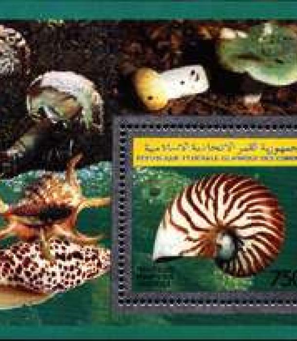 1483-Thumbnail Image-1.jpg