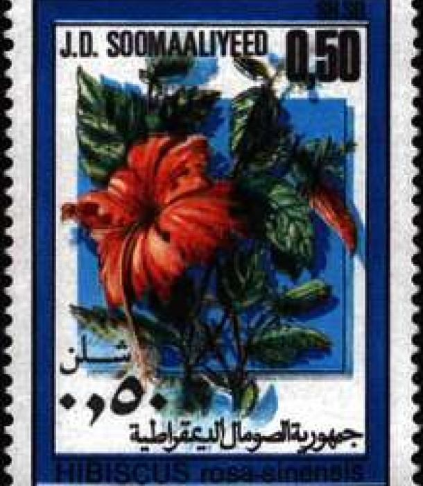 1486-Thumbnail Image-1.jpg