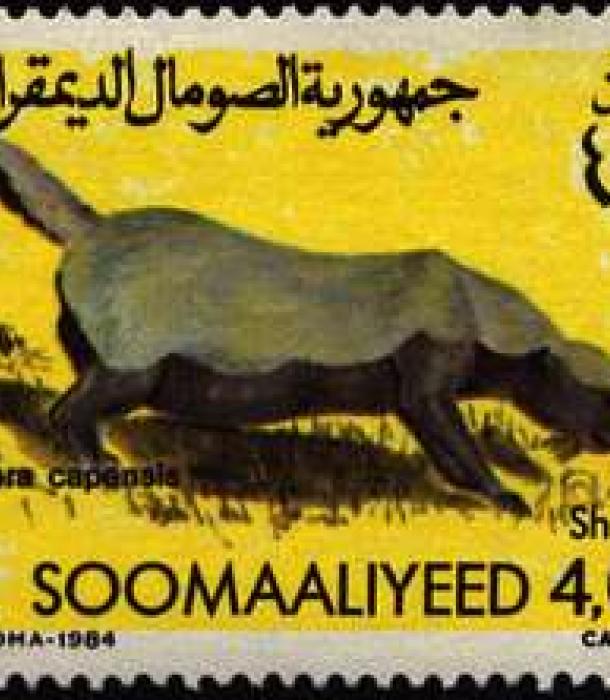 1493-Thumbnail Image-1.jpg