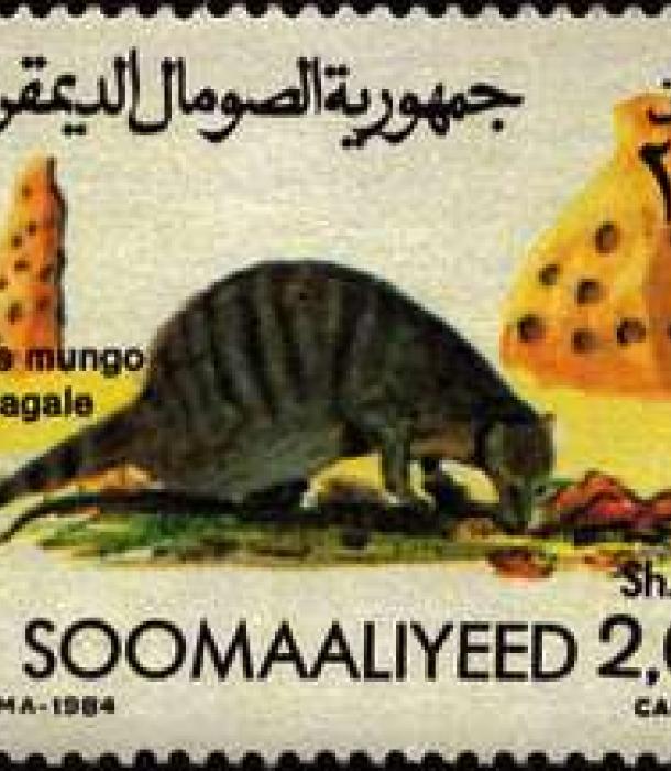 1499-Thumbnail Image-1.jpg