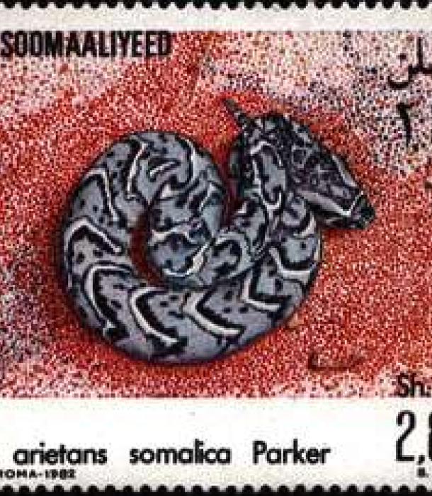 1505-Thumbnail Image-1.jpg
