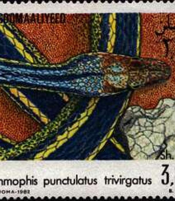 1507-Thumbnail Image-1.jpg
