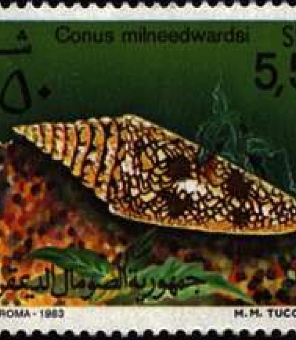 1508-Thumbnail Image-1.jpg