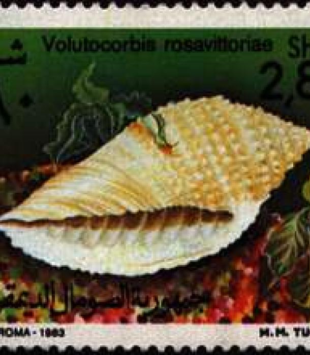 1509-Thumbnail Image-1.jpg