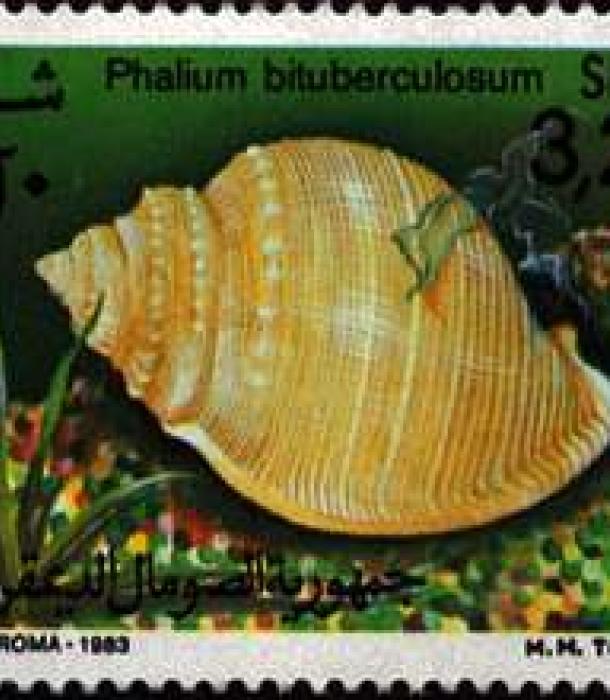 1510-Thumbnail Image-1.jpg