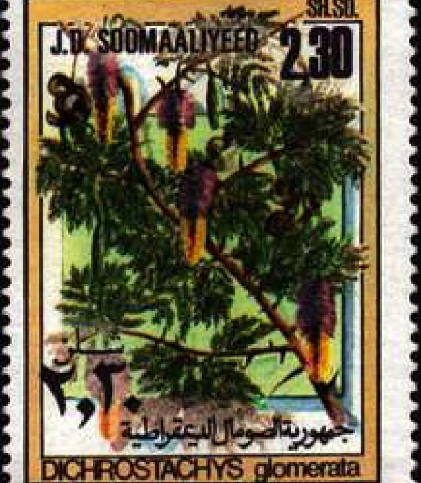 1511-Thumbnail Image-1.jpg