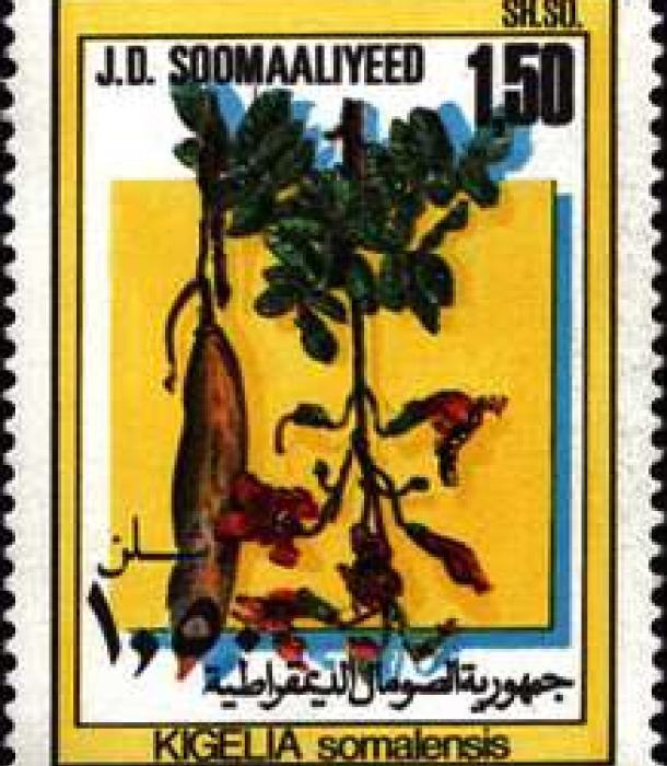 1512-Thumbnail Image-1.jpg