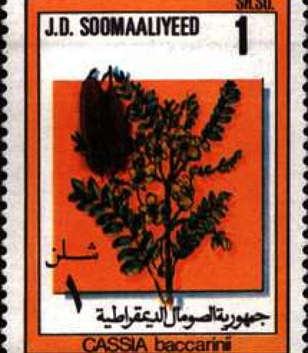 1513-Thumbnail Image-1.jpg