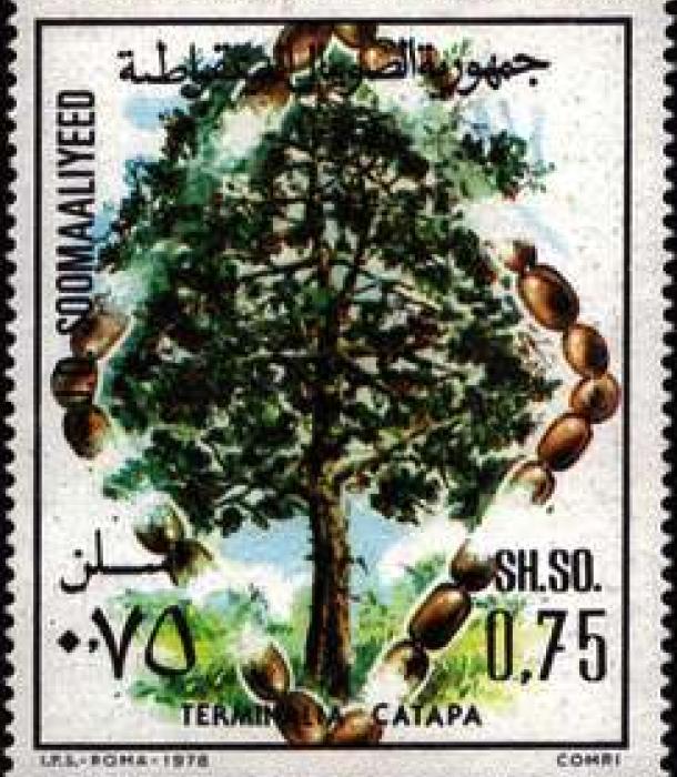 1514-Thumbnail Image-1.jpg