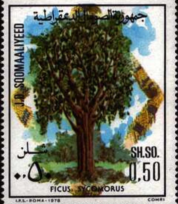 1515-Thumbnail Image-1.jpg
