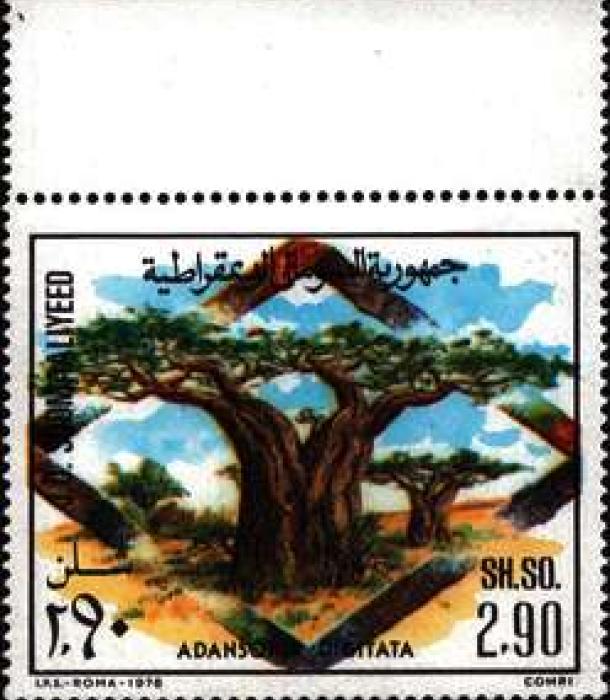 1517-Thumbnail Image-1.jpg