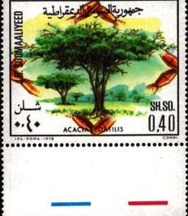 1519-Thumbnail Image-1.jpg