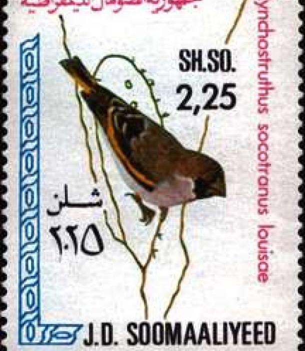 1520-Thumbnail Image-1.jpg