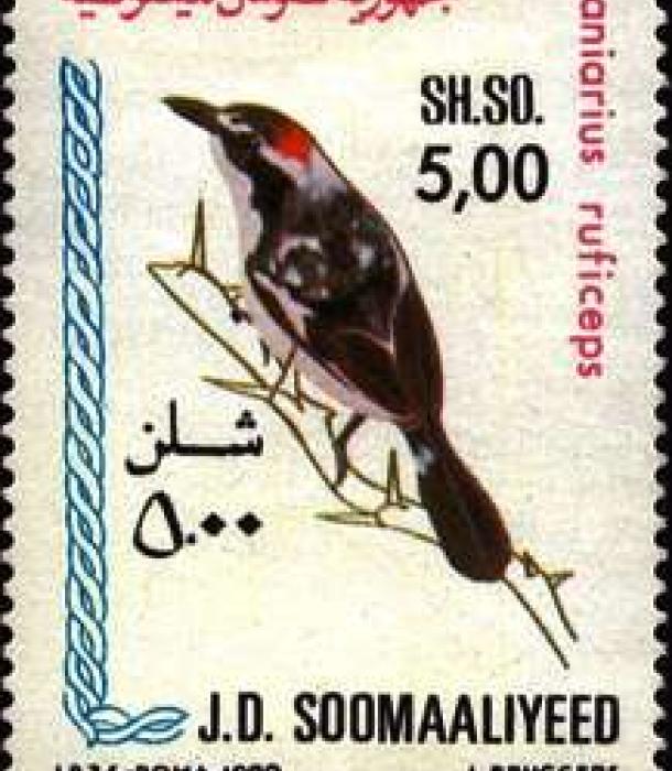 1522-Thumbnail Image-1.jpg