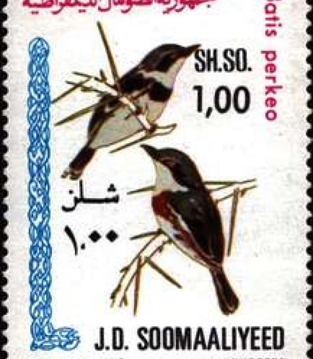 1523-Thumbnail Image-1.jpg