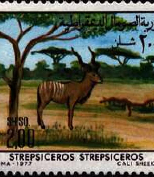 1530-Thumbnail Image-1.jpg