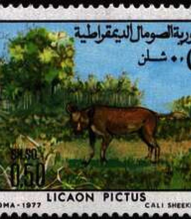 1531-Thumbnail Image-1.jpg