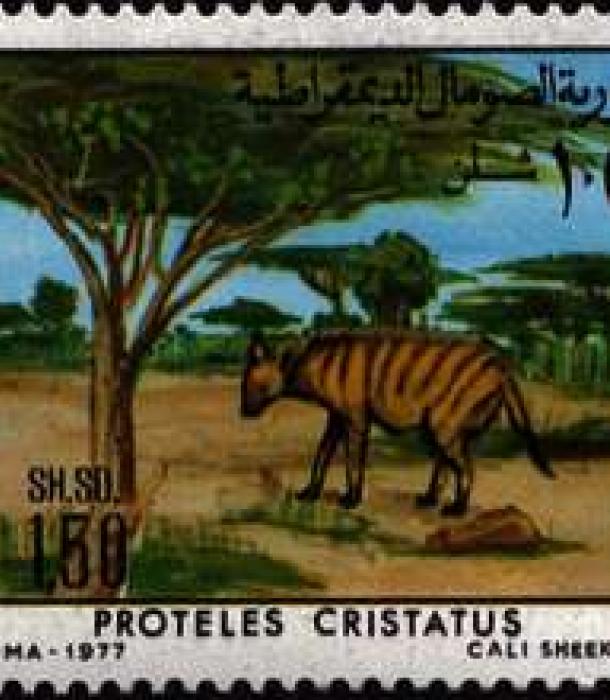 1532-Thumbnail Image-1.jpg