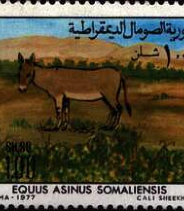 1533-Thumbnail Image-1.jpg