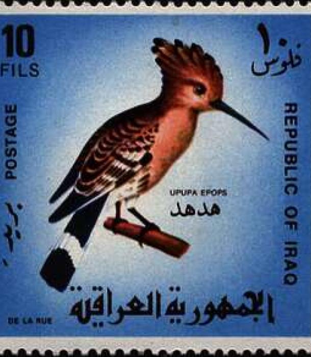 1567-Thumbnail Image-1.jpg