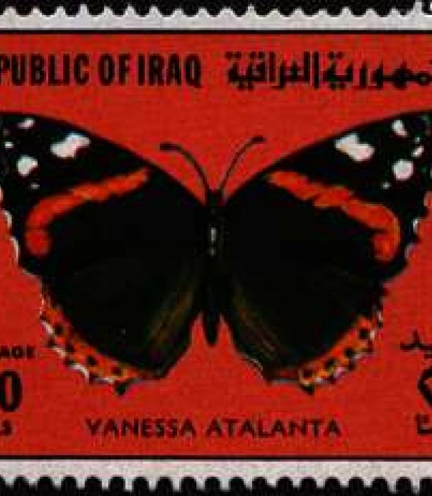 1568-Thumbnail Image-1.jpg