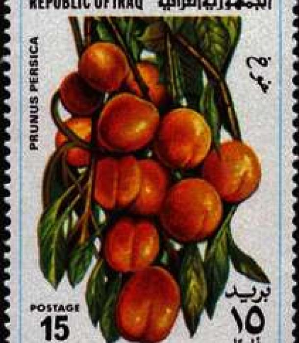 1570-Thumbnail Image-1.jpg