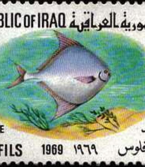 1571-Thumbnail Image-1.jpg