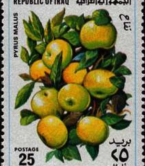 1572-Thumbnail Image-1.jpg
