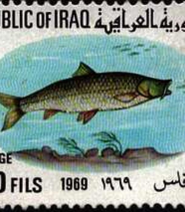 1573-Thumbnail Image-1.jpg