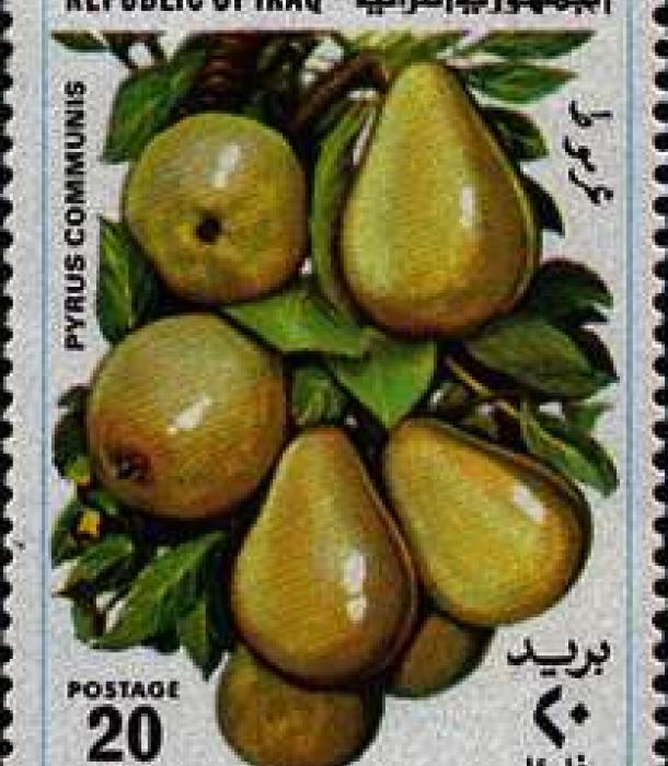 1574-Thumbnail Image-1.jpg