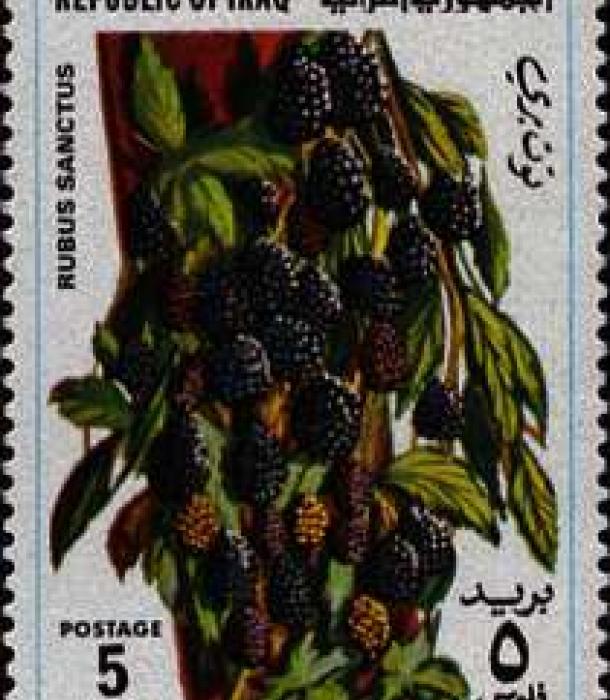 1575-Thumbnail Image-1.jpg
