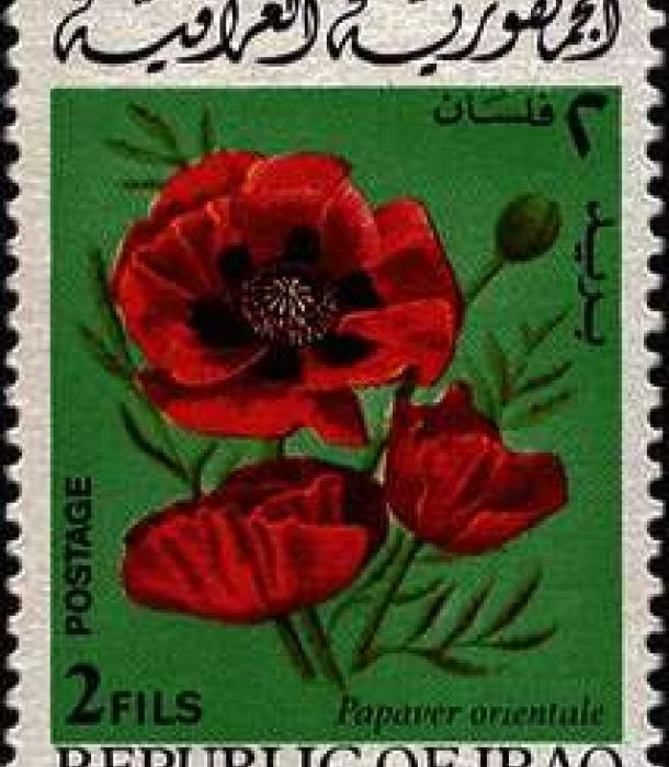 1576-Thumbnail Image-1.jpg