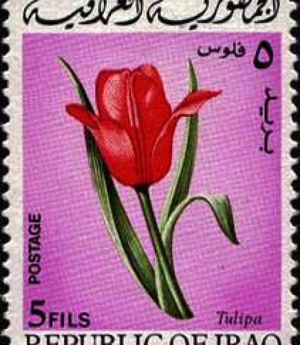 1577-Thumbnail Image-1.jpg