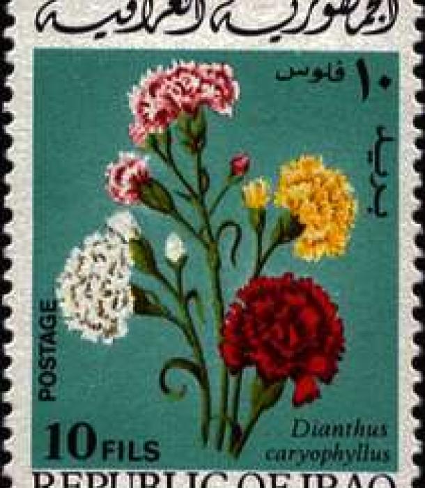 1578-Thumbnail Image-1.jpg