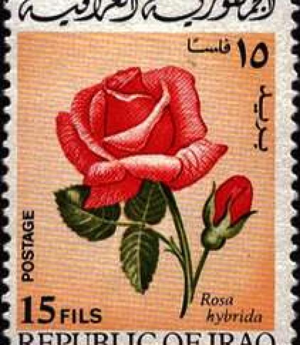 1579-Thumbnail Image-1.jpg