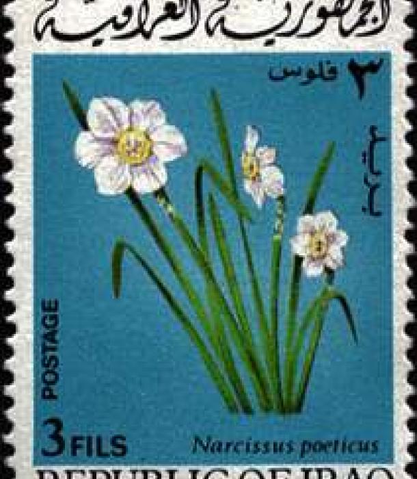 1580-Thumbnail Image-1.jpg
