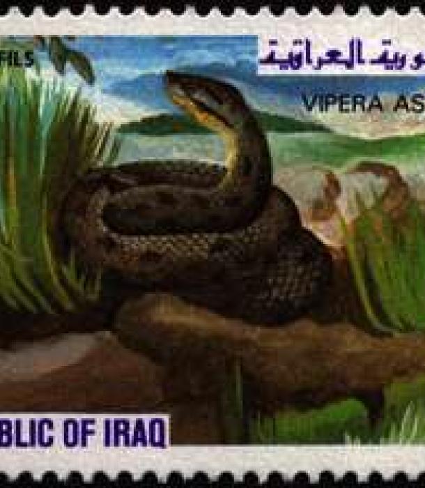 1582-Thumbnail Image-1.jpg