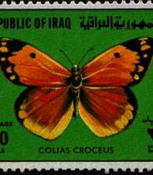 1583-Thumbnail Image-1.jpg