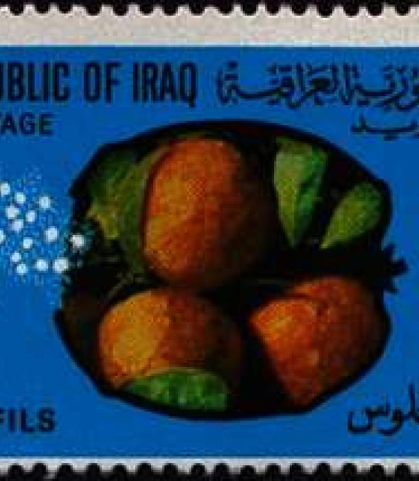 1584-Thumbnail Image-1.jpg