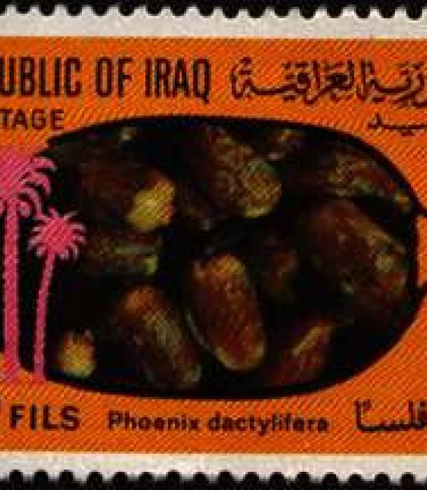 1586-Thumbnail Image-1.jpg