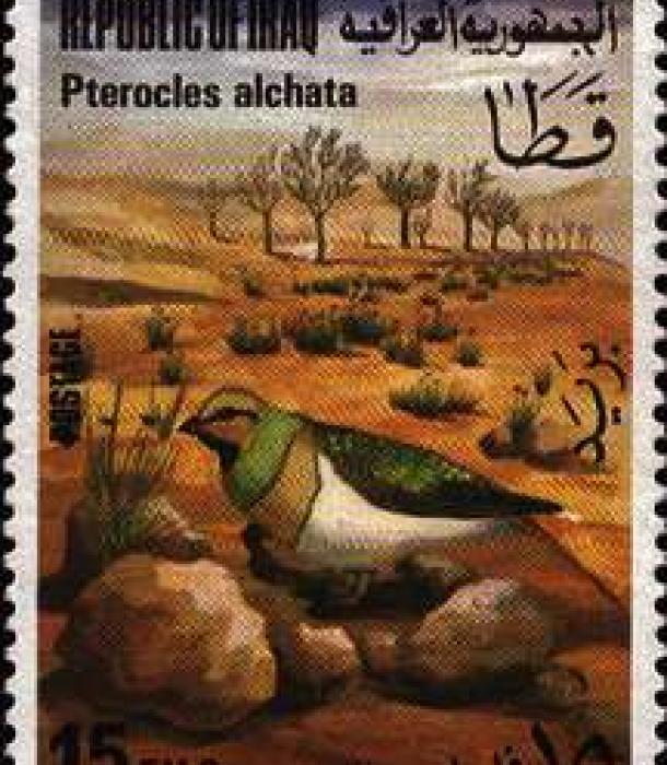 1587-Thumbnail Image-1.jpg