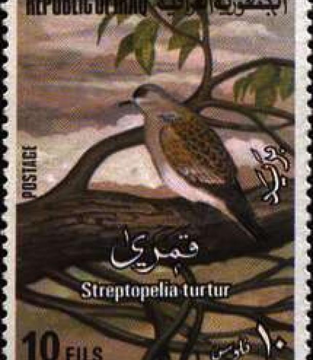 1588-Thumbnail Image-1.jpg