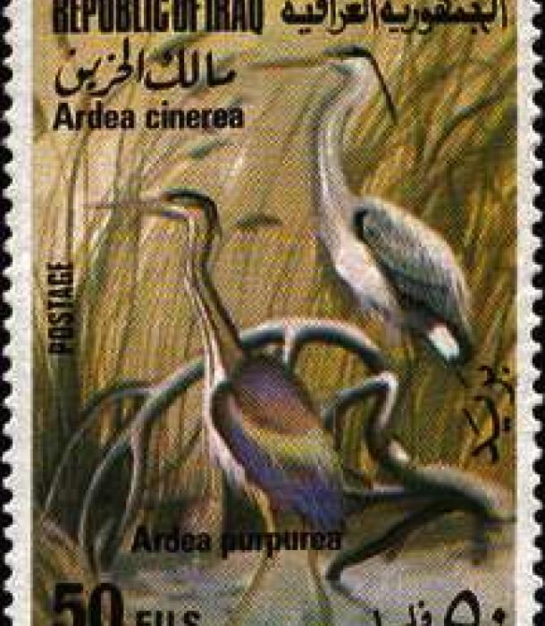 1589-Thumbnail Image-1.jpg