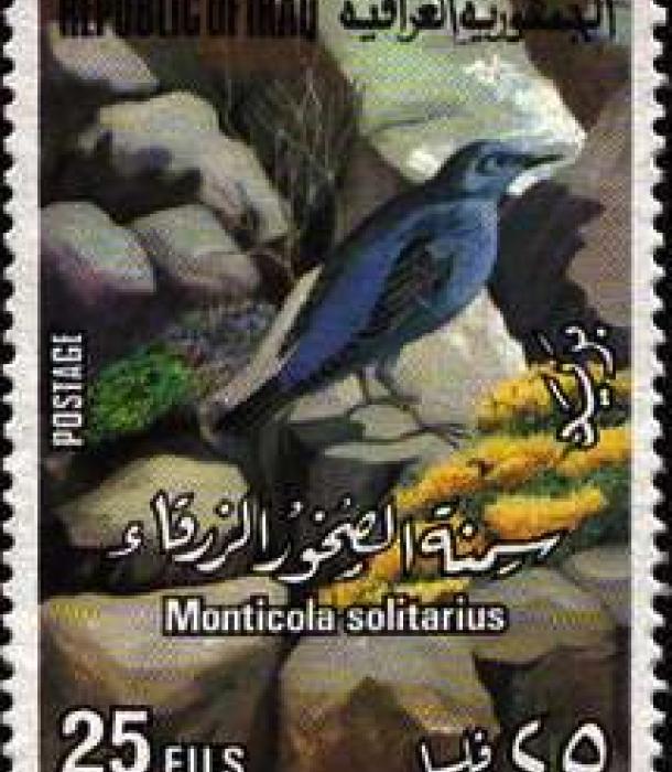 1590-Thumbnail Image-1.jpg